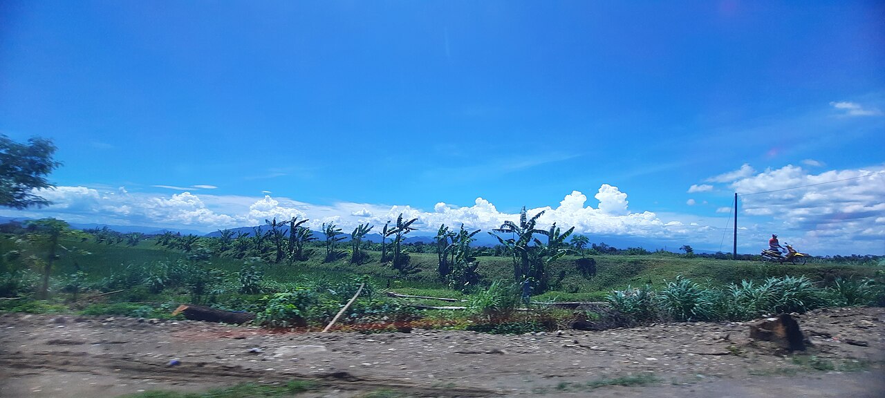 Transisi Agraria di Karawang: Analisis Dialektika Materialisme Historis dalam Transformasi Struktur Produksi Pertanian