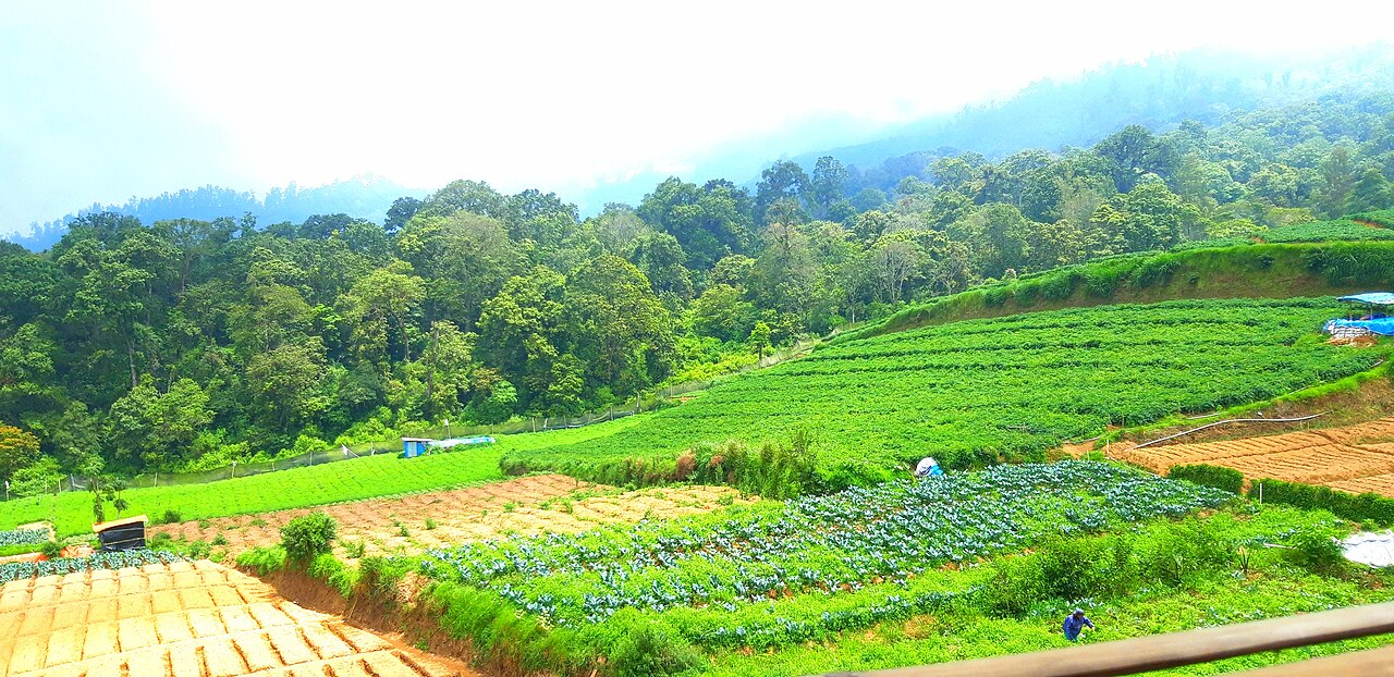 Nilai Lebih dan Eksploitasi: Mekanisme Perampasan Lahan Pertanian di Karawang